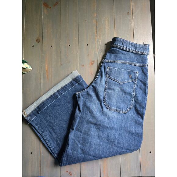 NWT Anthropologie Pilcro Pleated High-Rise Wide-Leg Jeans - 27P - Picture 4 of 4